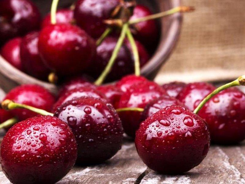 Вишня купить саженцы из питомника в Нижневартовске